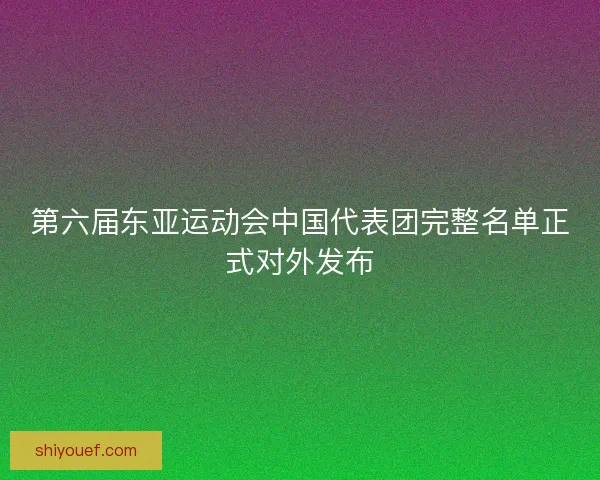 第六届东亚运动会中国代表团完整名单正式对外发布